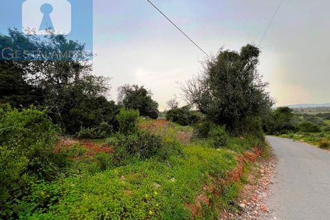Helårsgrund i Guia, Faro, Guia - € 199.000 | Ref: VP1705 - foto 24