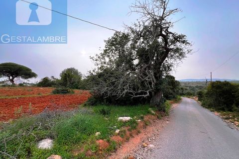 Helårsgrund i Guia, Faro, Guia - € 199.000 | Ref: VP1705 - foto 25