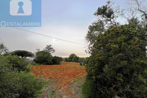 Helårsgrund i Guia, Faro, Guia - € 199.000 | Ref: VP1705 - foto 26