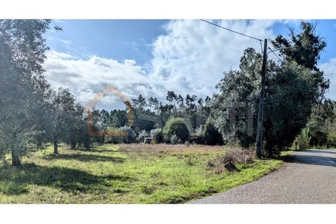 Helårsgrund i Pombal, Leiria, Pombal - € 270.000 | Ref: SAFTI:005897 - foto 2