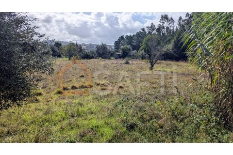 Helårsgrund i Pombal, Leiria, Pombal - € 270.000 | Ref: SAFTI:005897 - foto 3