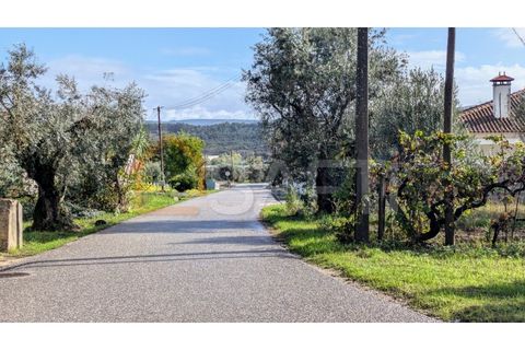 Helårsgrund i Pombal, Leiria, Pombal - € 270.000 | Ref: SAFTI:005897 - foto 4
