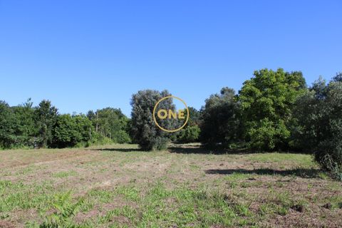 Helårsgrund i Vila Verde, Braga, Vila Verde - € 400.000 | Ref: ONE141494-12 - foto 4