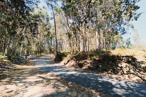 Helårsgrund i Vila Verde, Braga, Vila Verde - € 47.500 | Ref: ONE141494-22 - foto 17
