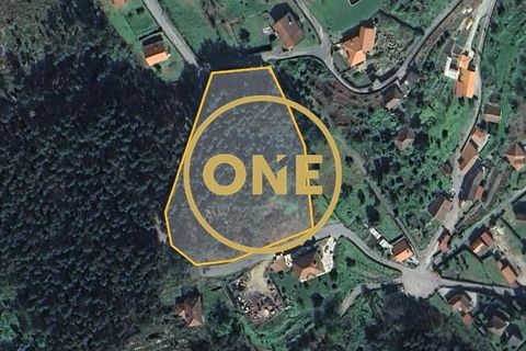 Helårsgrund i Vila Verde, Braga, Vila Verde - € 47.500 | Ref: ONE141494-22 - foto 19