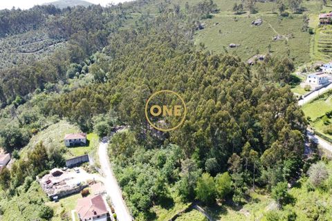 Helårsgrund i Vila Verde, Braga, Vila Verde - € 47.500 | Ref: ONE141494-22 - foto 22