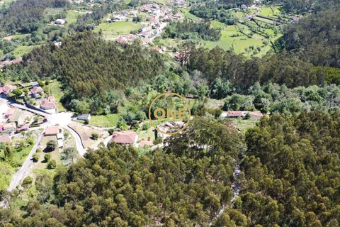 Helårsgrund i Vila Verde, Braga, Vila Verde - € 47.500 | Ref: ONE141494-22 - foto 23