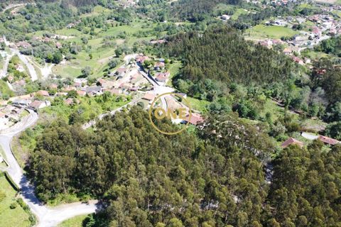 Helårsgrund i Vila Verde, Braga, Vila Verde - € 47.500 | Ref: ONE141494-22 - foto 24