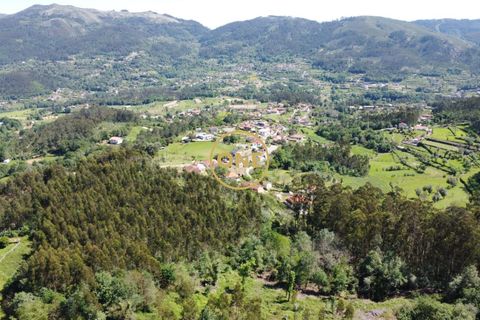 Helårsgrund i Vila Verde, Braga, Vila Verde - € 47.500 | Ref: ONE141494-22 - foto 26