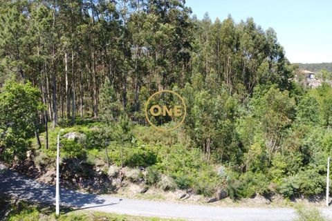 Helårsgrund i Vila Verde, Braga, Vila Verde - € 47.500 | Ref: ONE141494-22 - foto 27