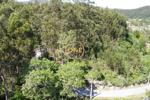 Helårsgrund i Vila Verde, Braga, Vila Verde - € 47.500 | Ref: ONE141494-22 - foto 28