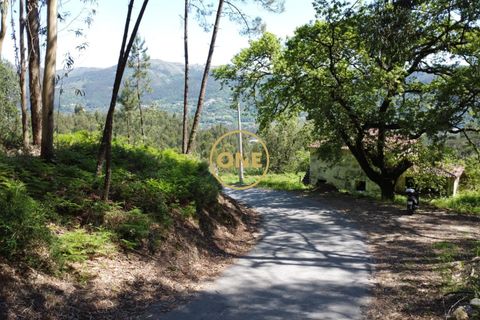 Helårsgrund i Vila Verde, Braga, Vila Verde - € 47.500 | Ref: ONE141494-22 - foto 30