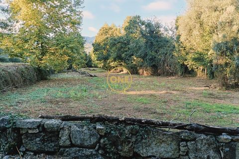 Tomt i Terras de Bouro, Braga, Terras de Bouro - € 35 000 | Ref: ONE141548-5 - foto 8