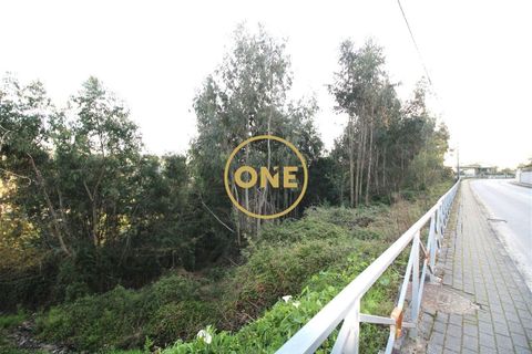 Helårsgrund i Braga, Braga, Braga - € 150.000 | Ref: ONE0011026-491 - foto 4