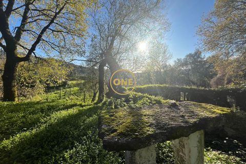 Byhus i Terras de Bouro, Braga, Terras de Bouro - € 86.000 | Ref: ONE141548-6 - foto 3