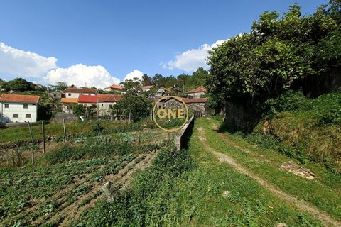 Landejendom i Ponte da Barca, Viana do Castelo, Ponte da Barca - € 47.500 | Ref: ONE141494-7 - foto 21