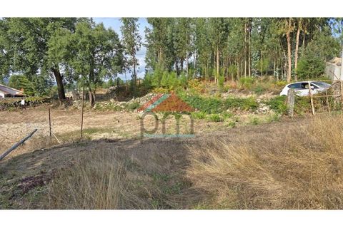 Villa i Moncao, Viana do Castelo, Moncao - € 50.000 | Ref: M498 - foto 10