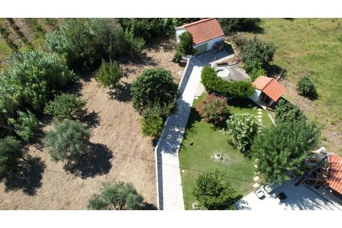 Granja a Tomar, Santarem, Tomar - € 575.000 | Ref: QUI2271 - foto 5