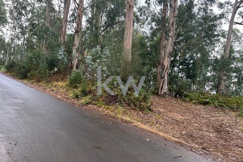 Helårsgrund i Ponta do Sol, Madeira, Ponta do Sol - € 30.000 | Ref: KWPT-005907 - foto 2