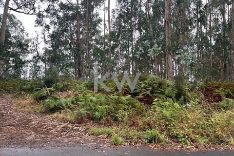Helårsgrund i Ponta do Sol, Madeira, Ponta do Sol - € 30.000 | Ref: KWPT-005907 - foto 3
