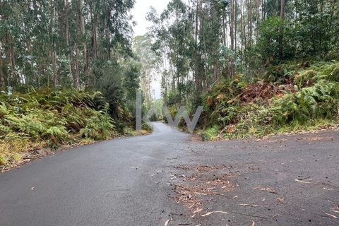 Helårsgrund i Ponta do Sol, Madeira, Ponta do Sol - € 30.000 | Ref: KWPT-005907 - foto 4