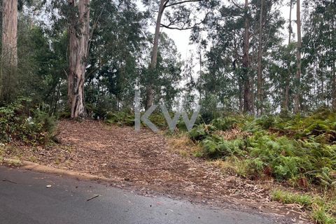 Helårsgrund i Ponta do Sol, Madeira, Ponta do Sol - € 30.000 | Ref: KWPT-005907 - foto 6