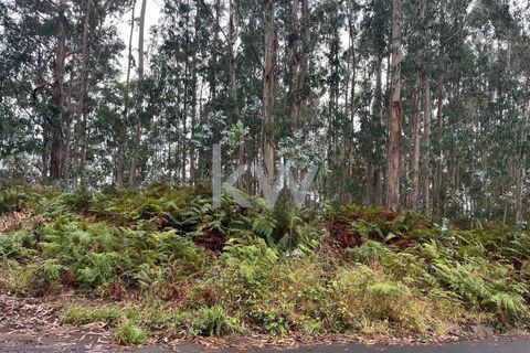 Helårsgrund i Ponta do Sol, Madeira, Ponta do Sol - € 30.000 | Ref: KWPT-005907 - foto 8