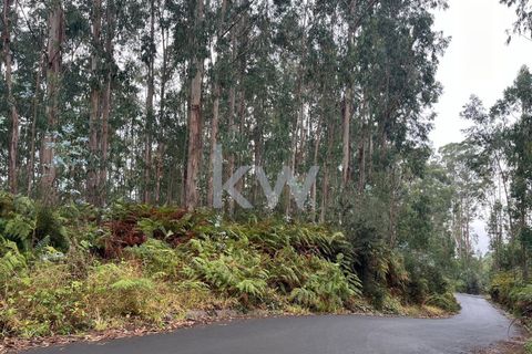 Helårsgrund i Ponta do Sol, Madeira, Ponta do Sol - € 30.000 | Ref: KWPT-005907 - foto 9