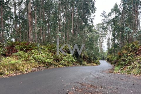Helårsgrund i Ponta do Sol, Madeira, Ponta do Sol - € 30.000 | Ref: KWPT-005907 - foto 10