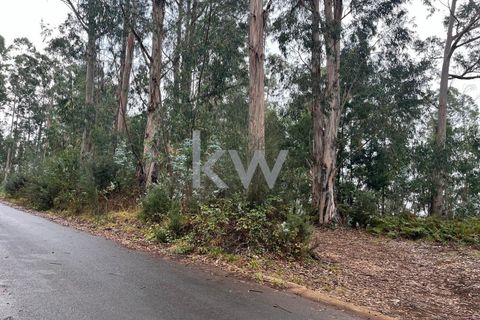 Helårsgrund i Ponta do Sol, Madeira, Ponta do Sol - € 30.000 | Ref: KWPT-005907 - foto 11