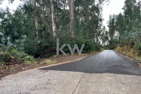 Helårsgrund i Ponta do Sol, Madeira, Ponta do Sol - € 30.000 | Ref: KWPT-005907 - foto 19