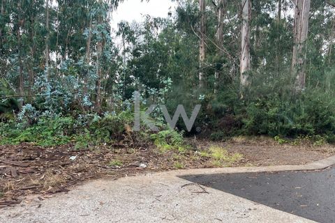 Helårsgrund i Ponta do Sol, Madeira, Ponta do Sol - € 30.000 | Ref: KWPT-005907 - foto 20