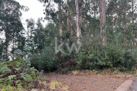 Helårsgrund i Ponta do Sol, Madeira, Ponta do Sol - € 30.000 | Ref: KWPT-005907 - foto 21