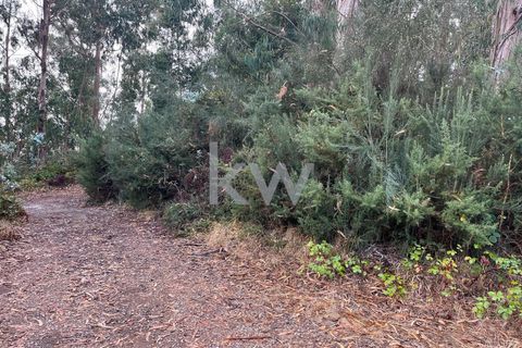 Helårsgrund i Ponta do Sol, Madeira, Ponta do Sol - € 30.000 | Ref: KWPT-005907 - foto 23