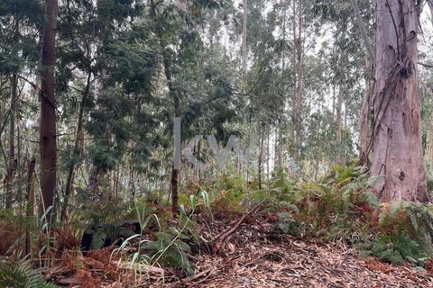 Helårsgrund i Ponta do Sol, Madeira, Ponta do Sol - € 30.000 | Ref: KWPT-005907 - foto 26