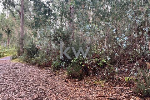 Helårsgrund i Ponta do Sol, Madeira, Ponta do Sol - € 30.000 | Ref: KWPT-005907 - foto 28