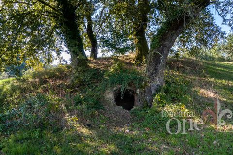 Villa a Gambassi Terme, Florence, Gambassi Terme - € 360.000 | Ref: 18703 - foto 30