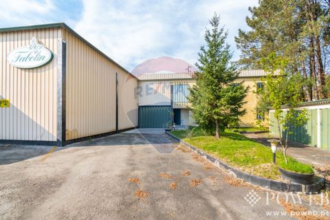 Villa i Vila Verde, Braga, Vila Verde - € 1.750.000 | Ref: 123331135-34 - foto 5