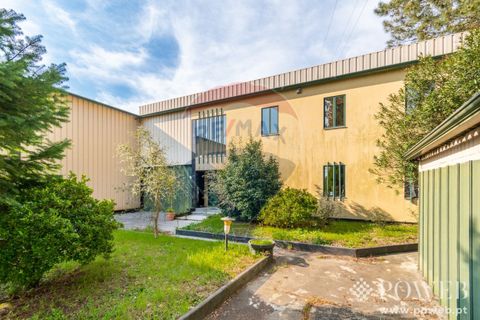 Villa i Vila Verde, Braga, Vila Verde - € 1.750.000 | Ref: 123331135-34 - foto 8
