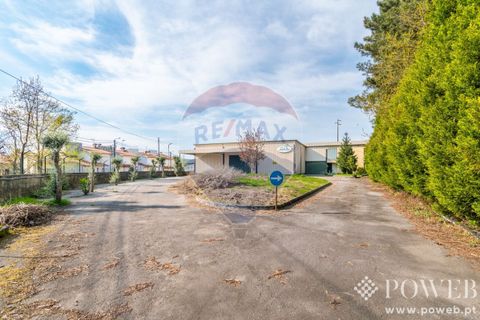 Villa i Vila Verde, Braga, Vila Verde - € 1.750.000 | Ref: 123331135-34 - foto 10