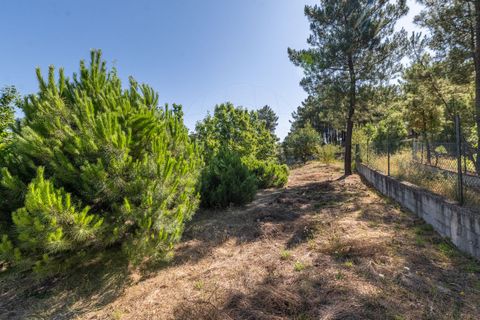 Villa i Chaves, Vila Real, Chaves - € 460.000 | Ref: 126381014-17 - foto 7