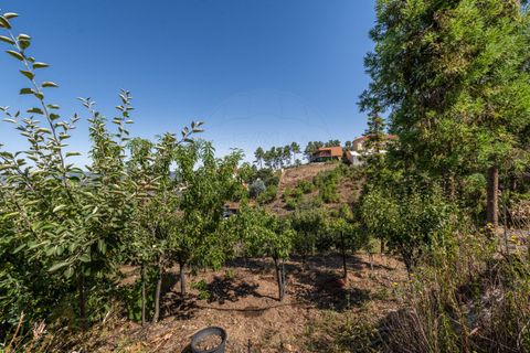 Villa i Chaves, Vila Real, Chaves - € 460.000 | Ref: 126381014-17 - foto 8