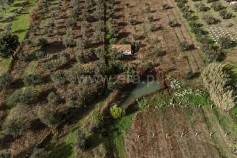 Helårsgrund i Fundao, Castelo Branco, Fundao - € 37.500 | Ref: 255240205 - foto 2