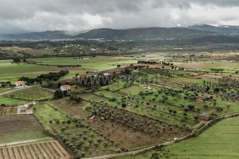 Helårsgrund i Fundao, Castelo Branco, Fundao - € 37.500 | Ref: 255240205 - foto 4