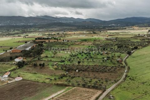 Helårsgrund i Fundao, Castelo Branco, Fundao - € 37.500 | Ref: 255240205 - foto 5