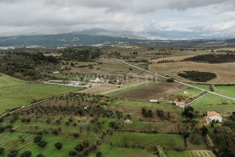Helårsgrund i Fundao, Castelo Branco, Fundao - € 37.500 | Ref: 255240205 - foto 8