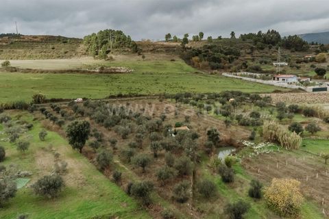 Helårsgrund i Fundao, Castelo Branco, Fundao - € 37.500 | Ref: 255240205 - foto 9