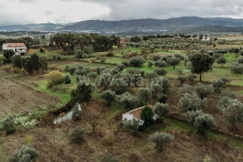 Helårsgrund i Fundao, Castelo Branco, Fundao - € 37.500 | Ref: 255240205 - foto 10