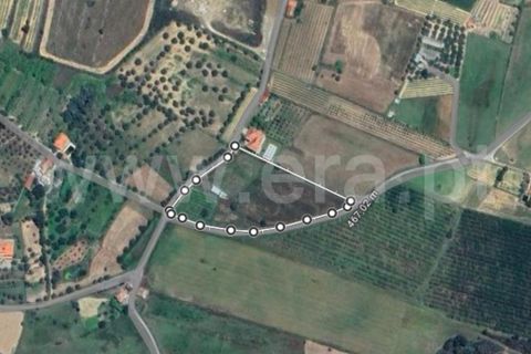 Helårsgrund i Fundao, Castelo Branco, Fundao - € 37.500 | Ref: 255240205 - foto 11