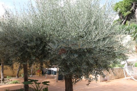 Villa i Platja D'aro, Gerona, Platja D'aro - € 1.150.000 | Ref: 1601 PDA-S - foto 14